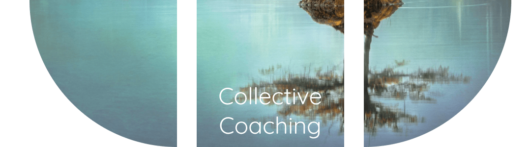 Collective Coaching, Cecile Masson