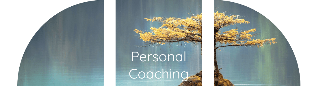 Personal Coaching, Cecile Masson